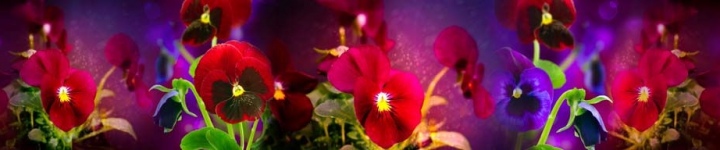 Скинали для кухни и фартуки - каталог изображений - skinali 0692