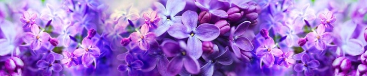 Скинали для кухни и фартуки - каталог изображений - skinali 0748