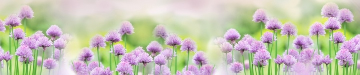 Скинали для кухни и фартуки - каталог изображений - skinali-5291