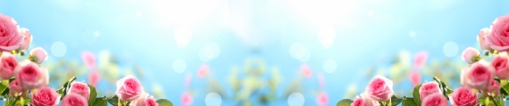 Скинали для кухни и фартуки - каталог изображений - skinali-5477