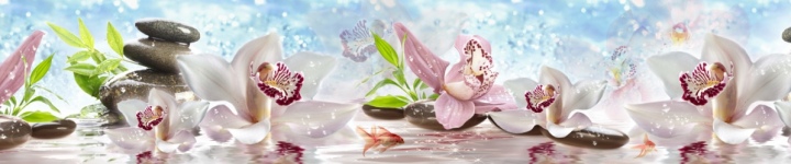 Скинали для кухни и фартуки - каталог изображений - skinali-4771