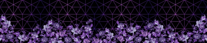 Цветы - skinali-8932