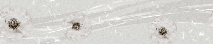 Одуванчики - skinali 1278