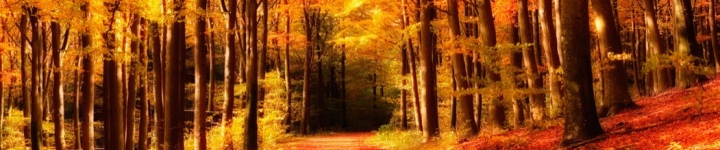 Природа - skinali 1132