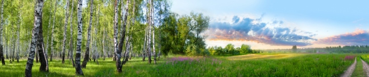 Природа - skinali-5590