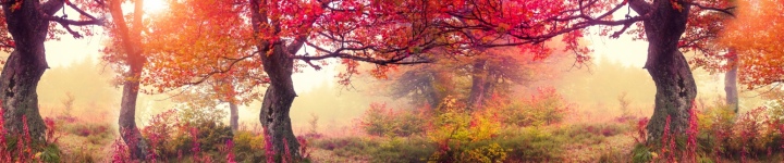 Природа - skinali-9794