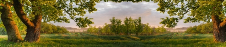 Природа - skinali-9826
